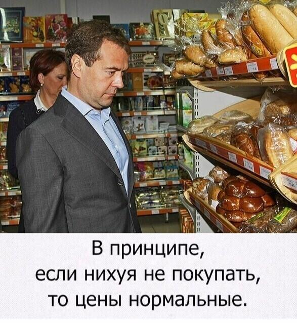 Медведев обвинил разнотык в бедах России