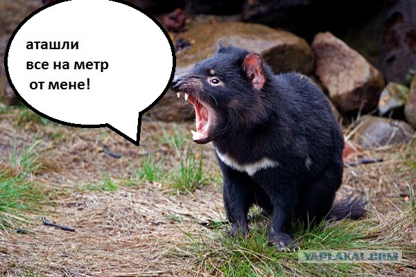 Что  радует мужчину по жизни? После 40