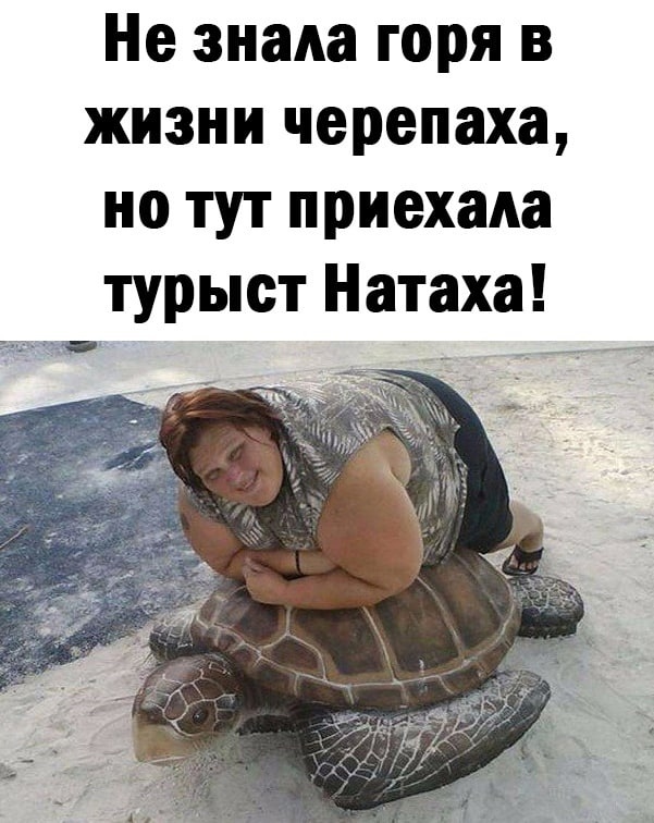 https://s00.yaplakal.com/pics/pics_original/5/3/9/15710935.jpg