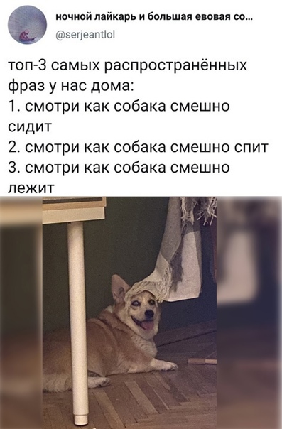 Весёлый полтишок 23.07
