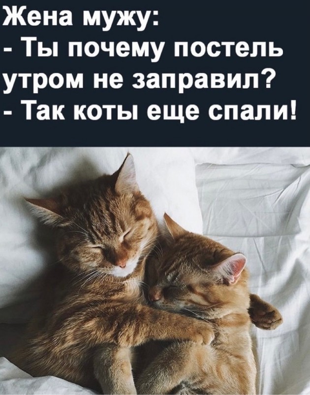 Так себе картинки 31.07.21