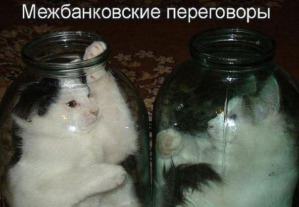 Так себе картинки 09.09.21