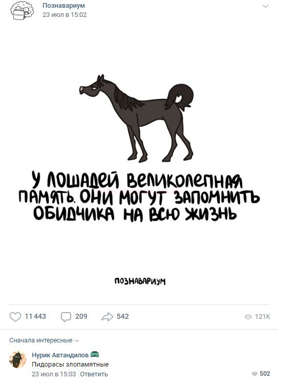 Комментарии к постам в разных группах, которые вызвали улыбку