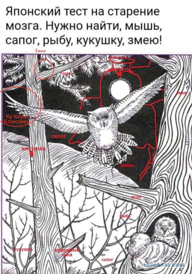Бредзона 10.10.2021