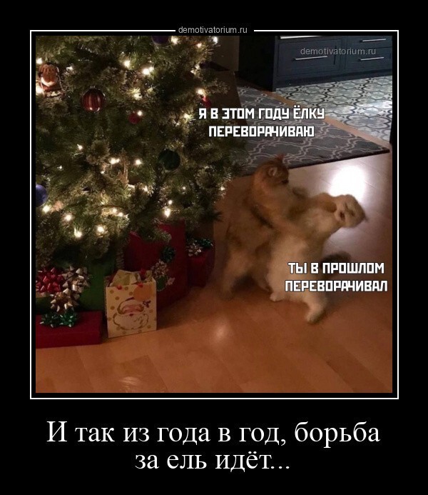 Алкопост 24.12.21