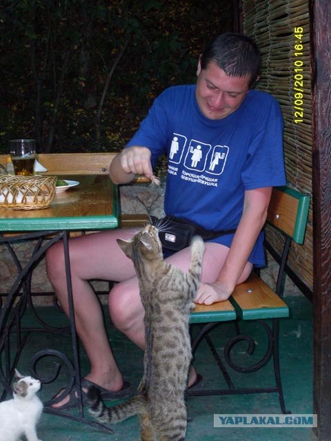 Унылый сочинский бархатный сезон