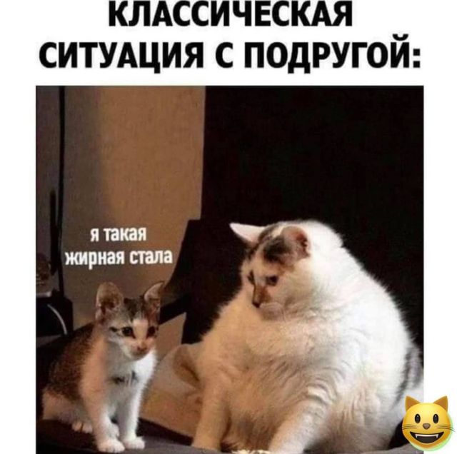 Котовторник. Картинки и буквы 08.02.22
