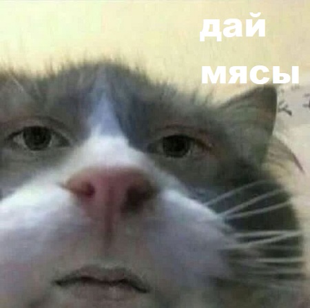 Так себе картинки 30.04.22