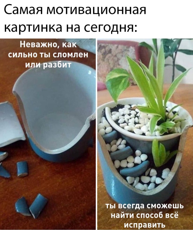 Картинки и мемы для настроения. Выходные скоро