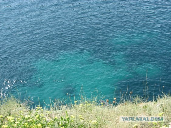 Мыс Тарханкут - самая западная точка Крыма.