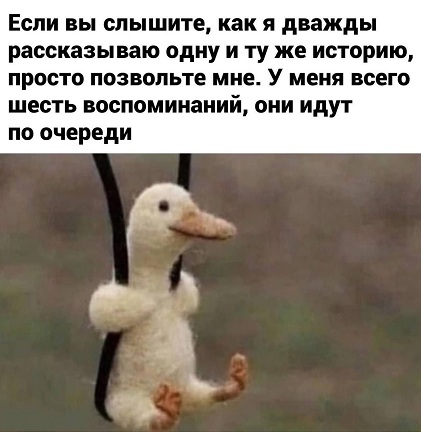 А помнишь у тебя бэха была?
