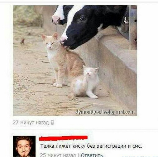 Картинки и мемы, всем хороших выходных