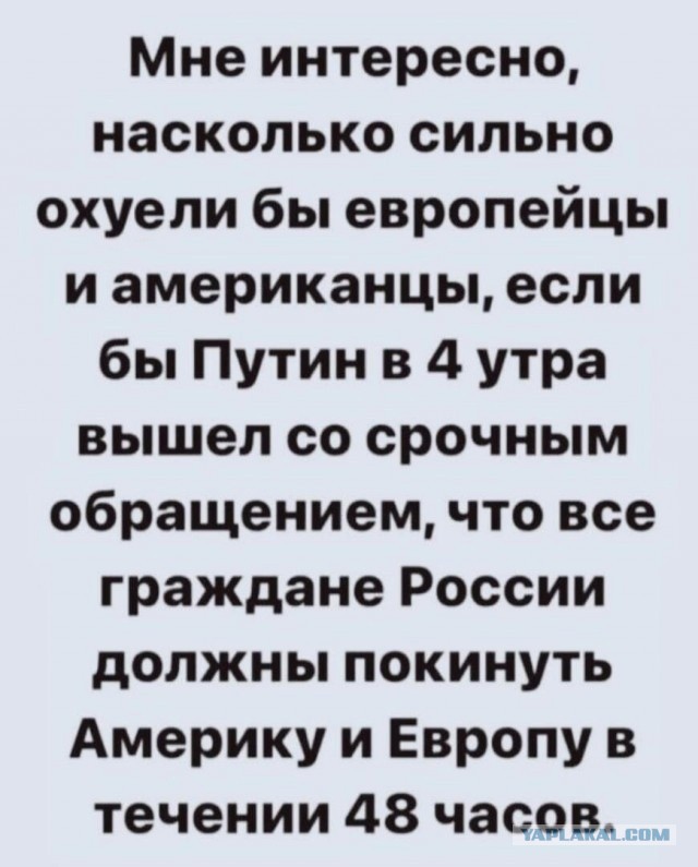 МИД Египта призывал своих граждан немедленно покинуть Киев