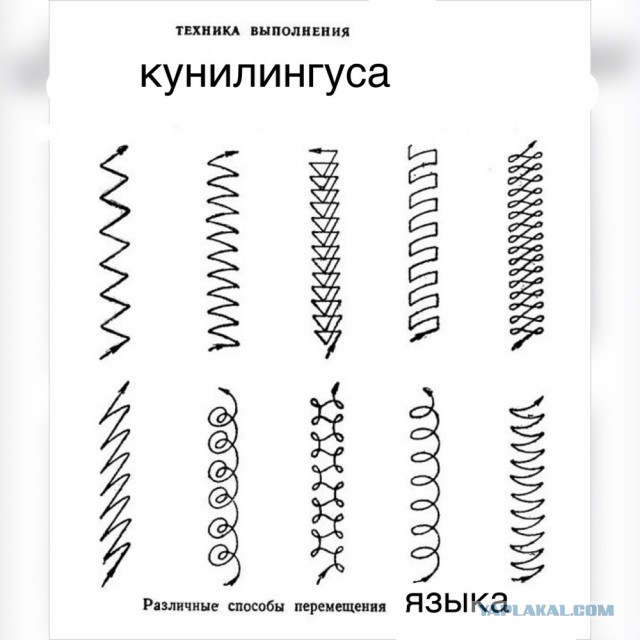 Хватит деградировать! Пора и научиться чему-то!