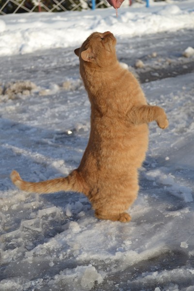 Чернобыль. Припять. Боль