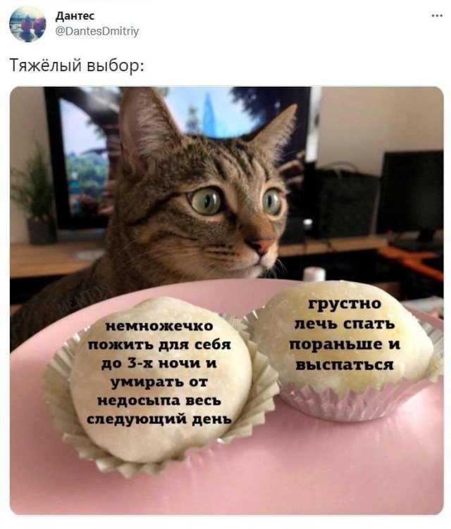 Картинки и мемы. Выходные близко...