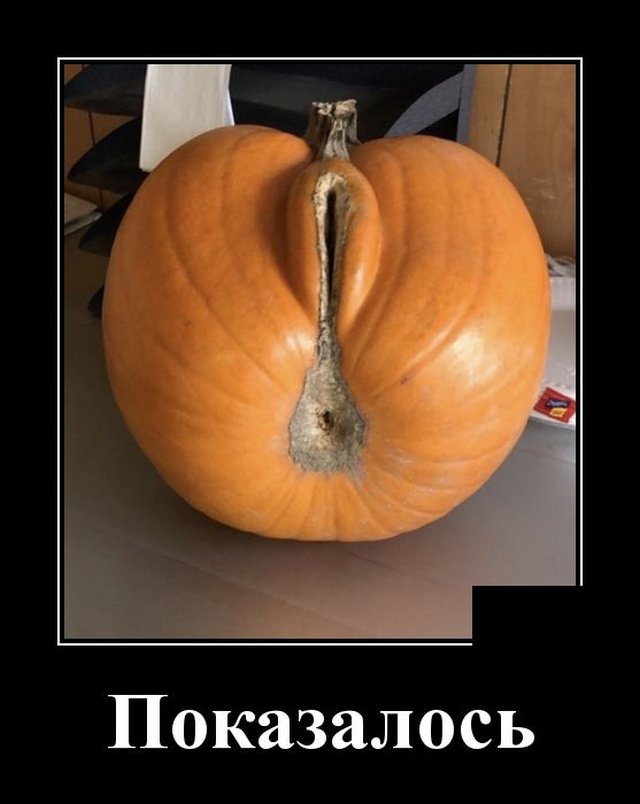 Тыква с телом