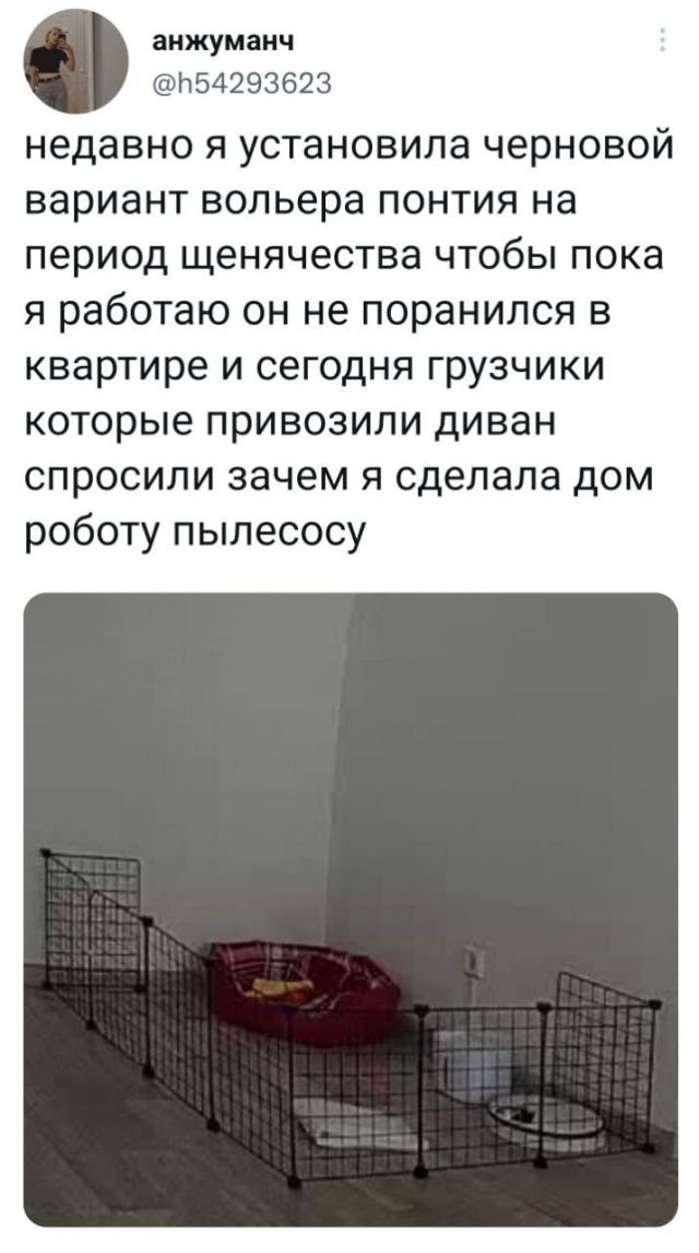 Забавные комментарии из социальных сетей (07.11.22)
