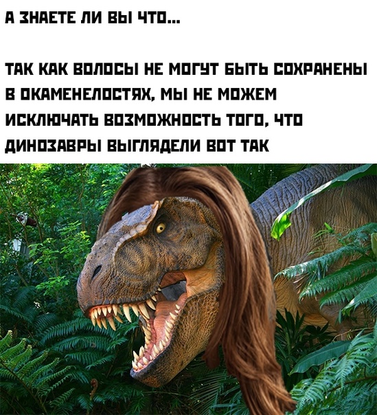 Картинки и мемы. Выходные близко...