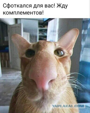Почему у женатых мужчин появляются любовницы