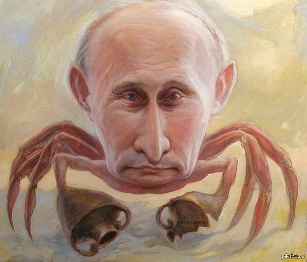 Владимир Путин внес в Госдуму несколько проектов