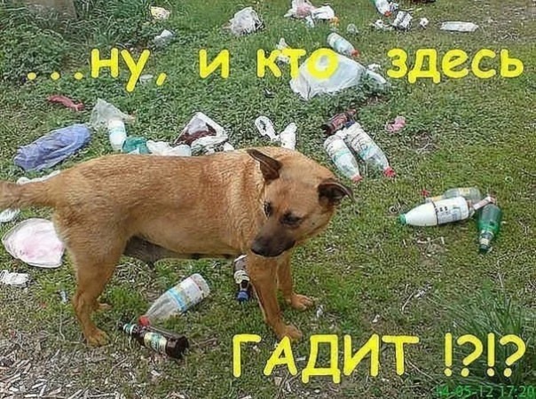 Ох уж эти срущие спортсмены...