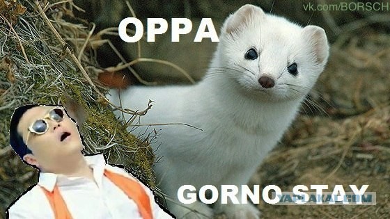 Любимая книга - "позновающая"