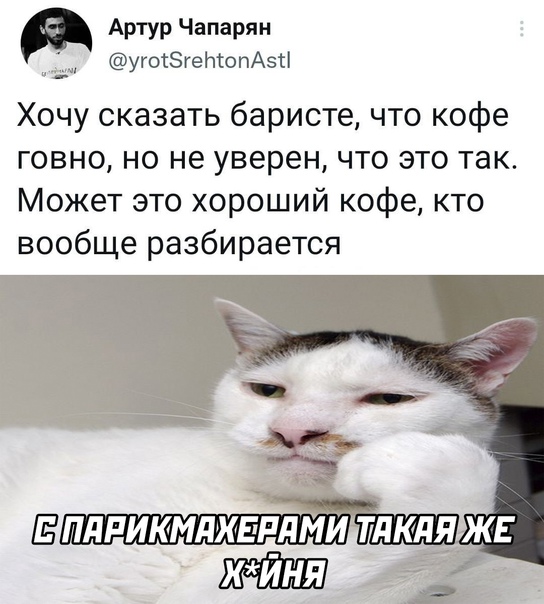 Картинки и мемы для настроения - 187
