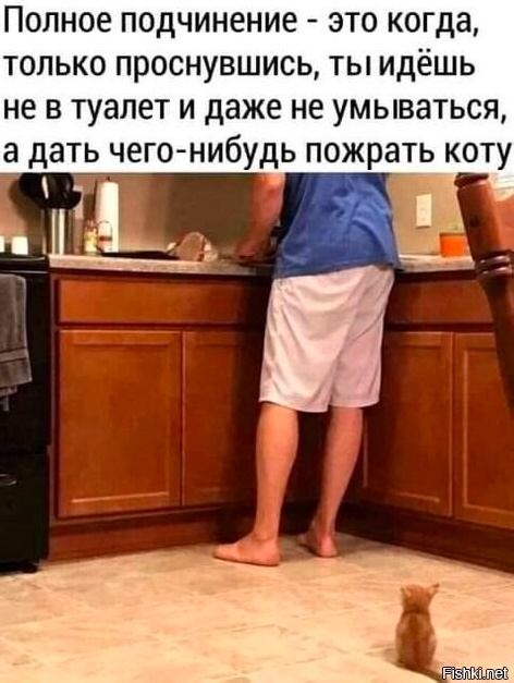 Так себе картинки 20.06.23