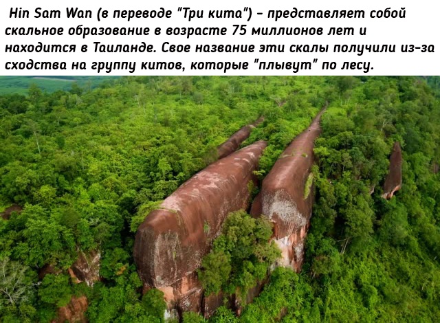 Небольшая подборка исторических фото (08.08)