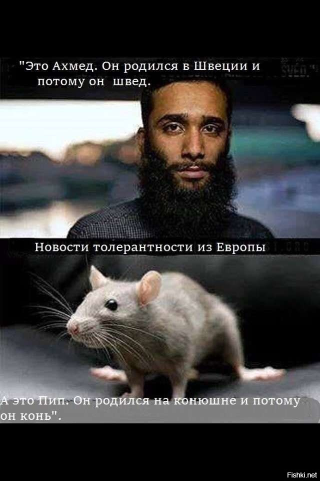 Пропавшая в Израиле немка, кадры с которой облетели мир, находится в больнице