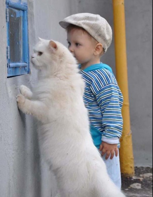 Девочка и кот