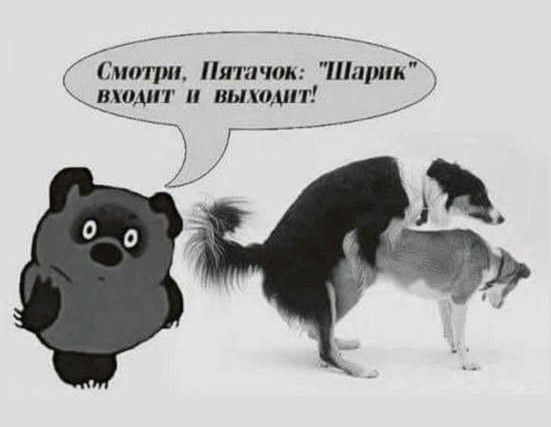 Это всё потому, что он - чёрный?
