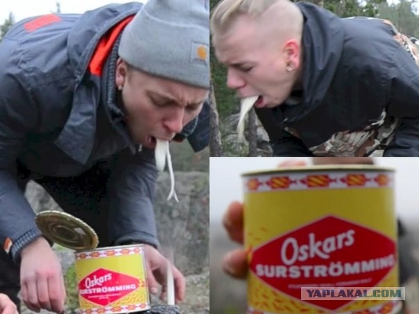 ЯП, нужен совет!