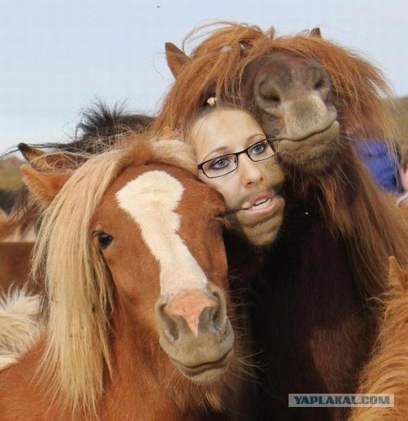 Эй, красавчег!