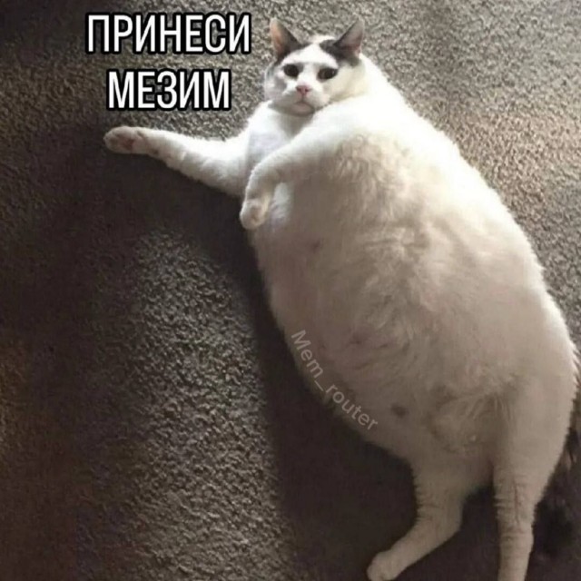 Завалялось тут случайно немного забавных картинок в субботу