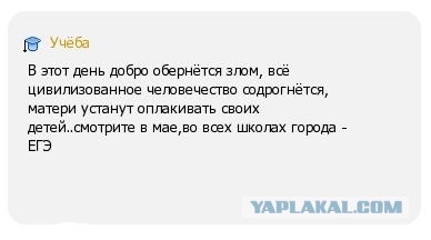 ЕГЭ по русскому языку сдаст на 146 баллов