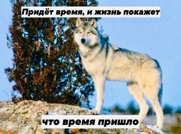 Нуштош 25.10.2024