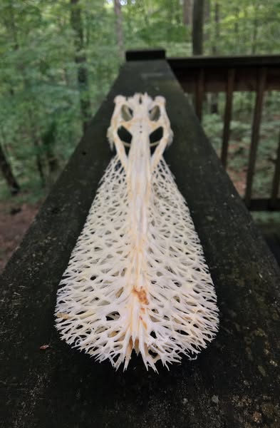 Бутан, таинственный Бутан