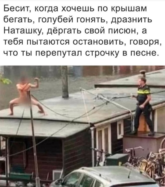 Так себе картинки 19.05.25