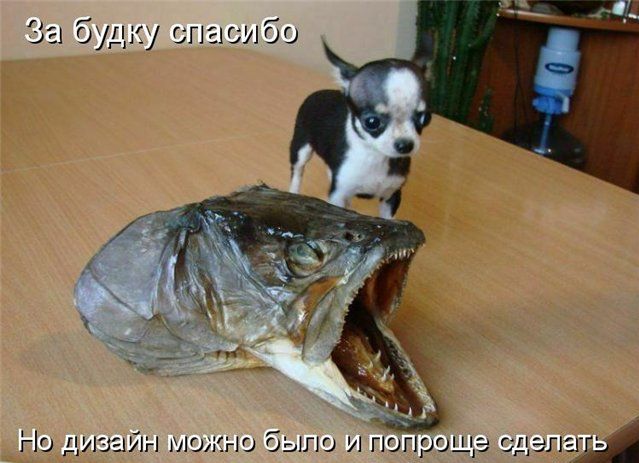 Будка своими руками.