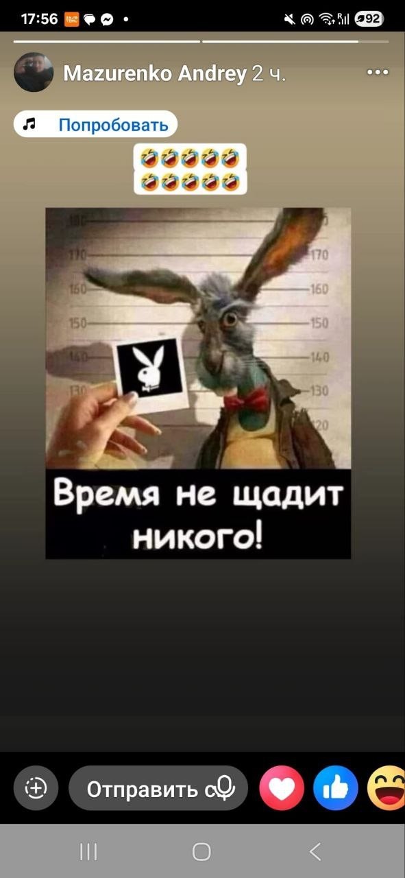 Картинки для деградации 13 (разной степени свежести)