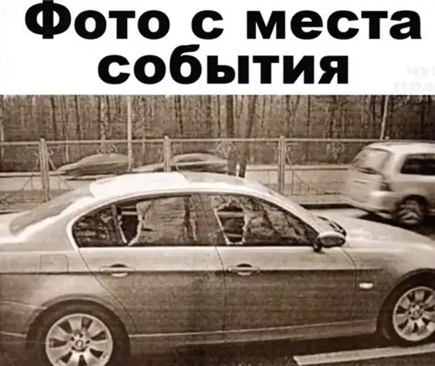 Сколько лет тюрьмы получил обидчик зятя Путина?