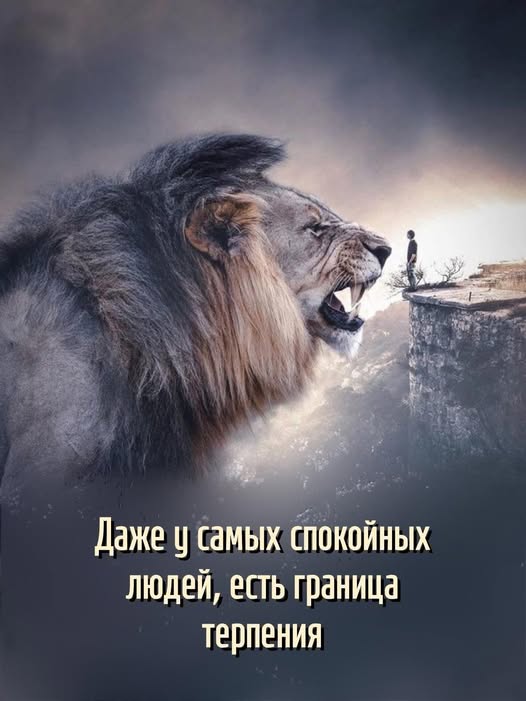 Веселые картинки в маленькую пятницу (19.11)