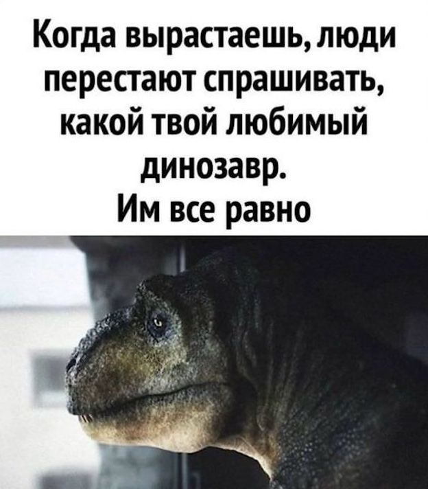 Так себе картинки 29.12.25