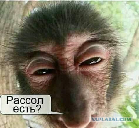 Утро 9 марта