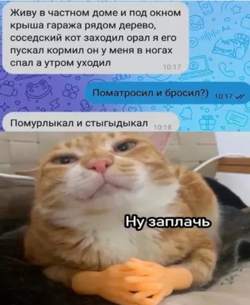 Котямбосы