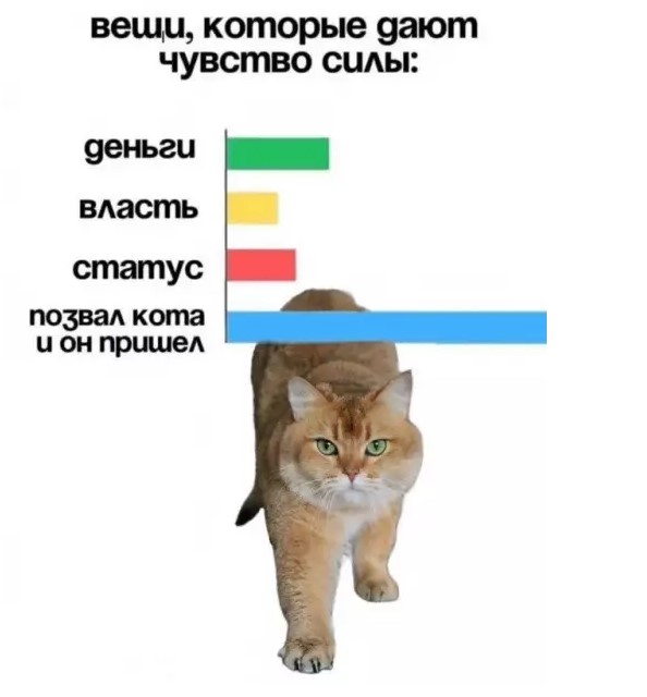 Пакет брать будете?