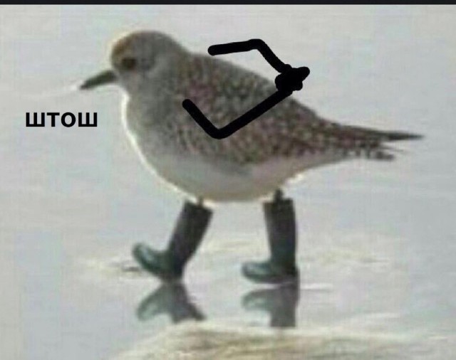 Все так⁠