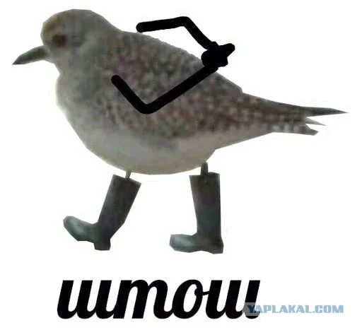 Можно про Боню?